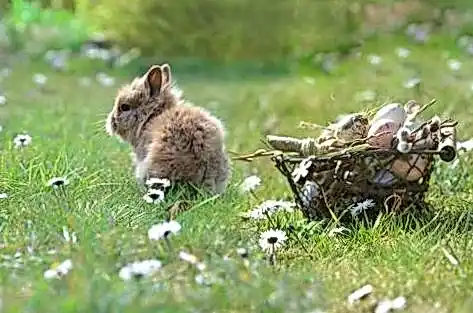 Sykaaa рабочее зеркало 975350